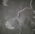 As15-81-10894.jpg